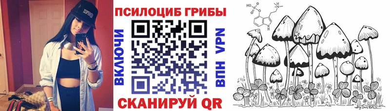 Купить закладки  Луховицы  Псилоцибиновые грибы ЛСД 